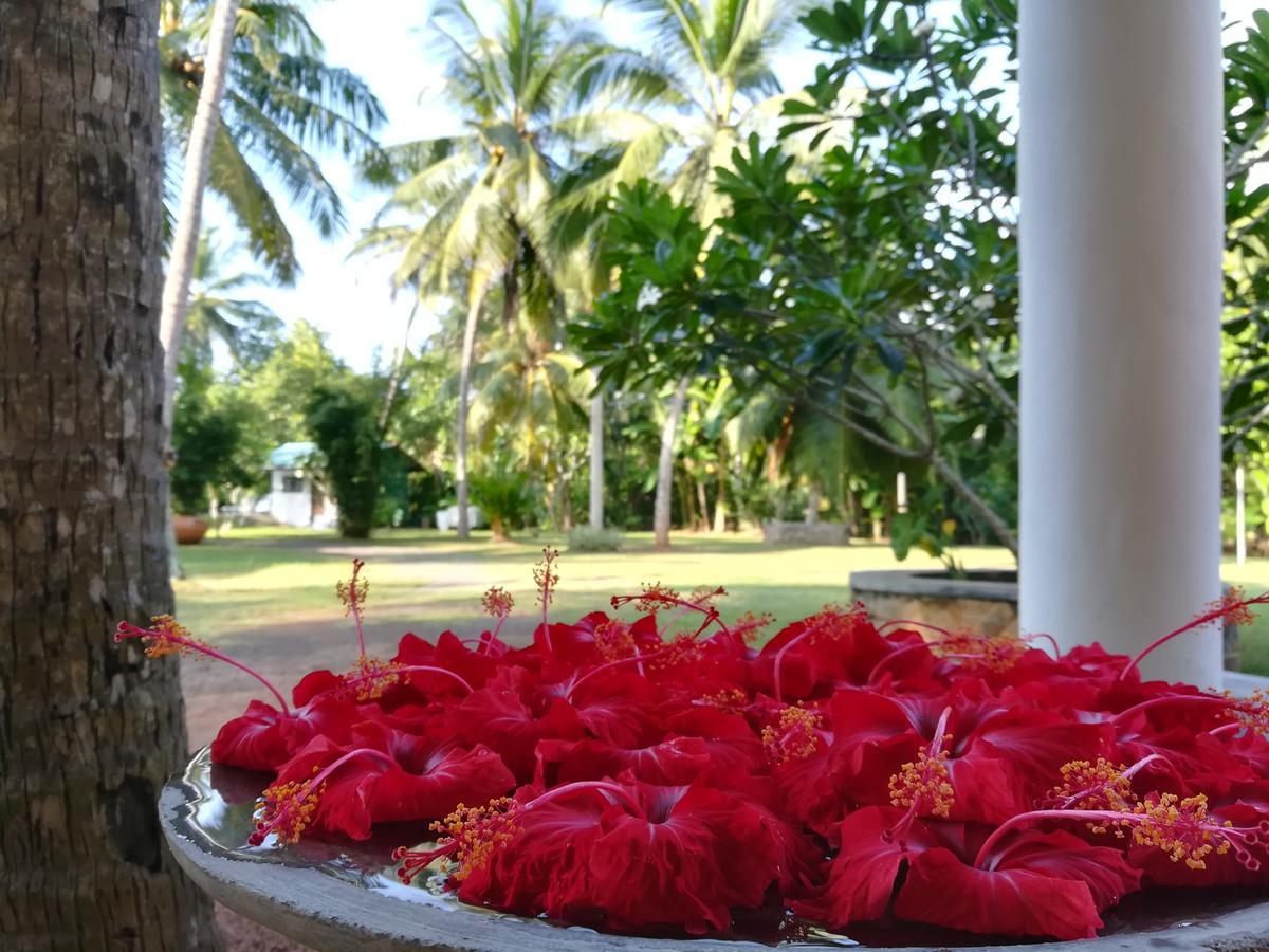 Villa Gaetano Unawatuna Extérieur photo